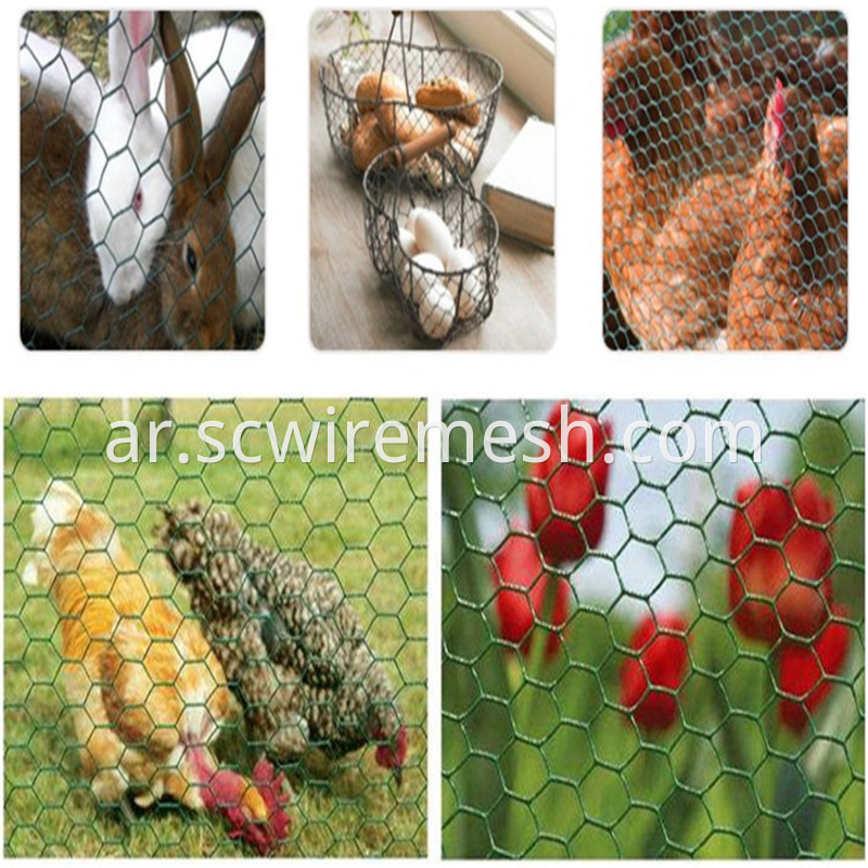 chicken gabion mesh
